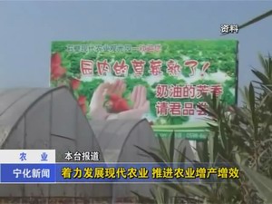 著力發展現代農業  推進農業增產增收