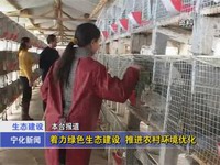 著力綠色生態(tài)建設(shè)  推進(jìn)農(nóng)村環(huán)境優(yōu)化