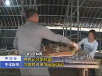 我縣部署創城迎檢百日會戰社區綜合整治工作