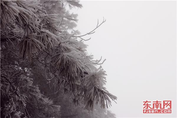 冬日添美景 三明多地降雪現(xiàn)霧凇冰掛