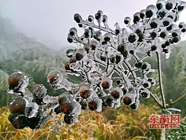 冬日添美景 三明多地降雪現(xiàn)霧凇冰掛