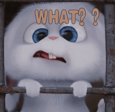 是的,你沒有看錯,這條新聞刷爆了各大媒體圈……