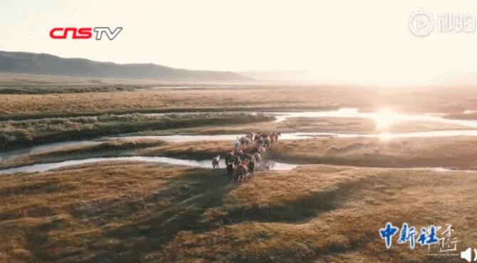 男友打撈落水女童她急救,他們有大學生最美的樣子!