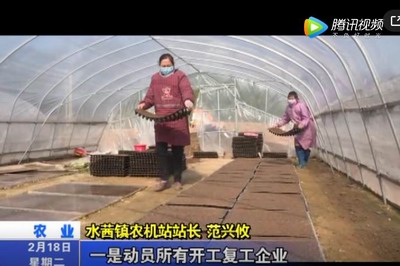 水茜鎮：春耕備耕忙 播種育苗正當時