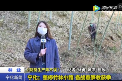 寧化：整修竹林小路 備戰(zhàn)春筍收獲季