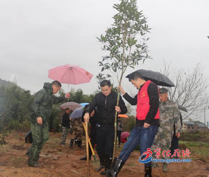 寧化安遠(yuǎn)：干群植樹添新綠