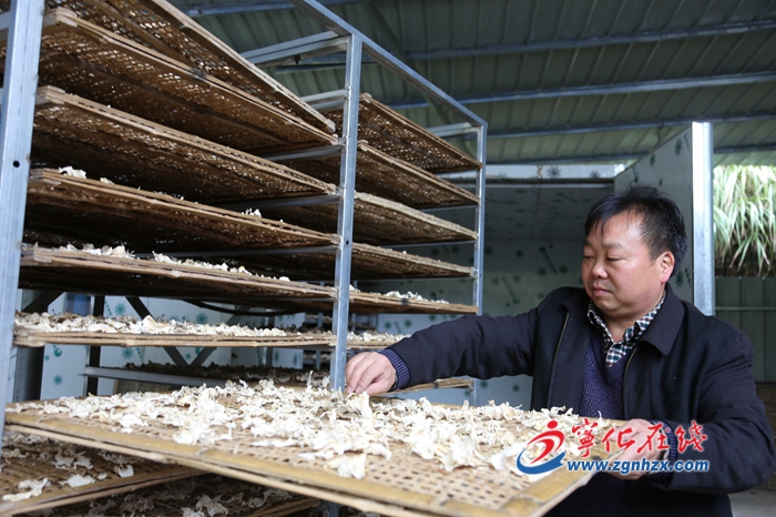 寧化畬鄉(xiāng)：筍竹加工創(chuàng)產(chǎn)值4755萬