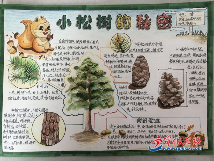 寧化縣青少年自然筆記大賽結果揭曉