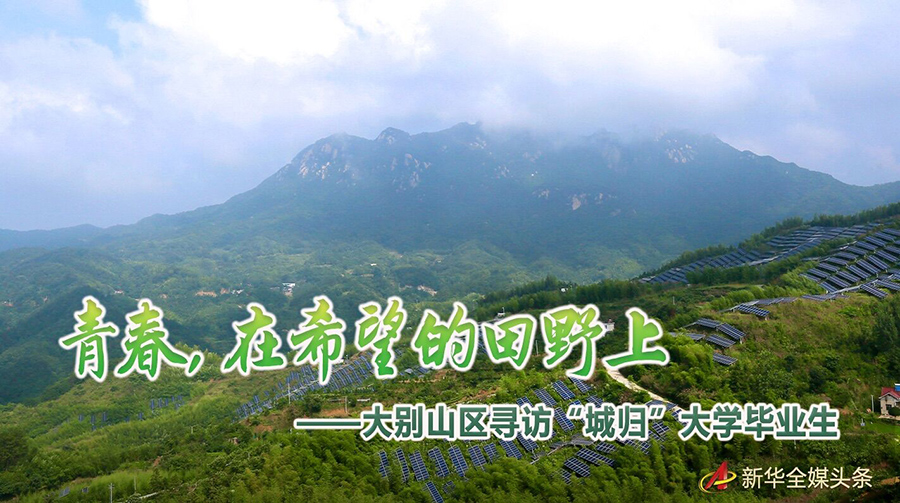 5G信號“配送員”、兼職保險查勘員……看這些企業的“花式”用工