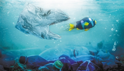 最嚴(yán)“禁塑令”實(shí)施4個(gè)月 這些難題怎么破