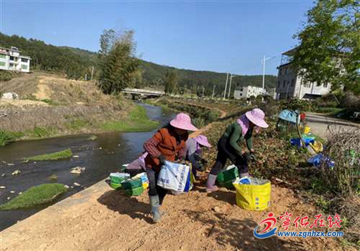 寧化縣方田鄉：植樹綠化打造宜居家園