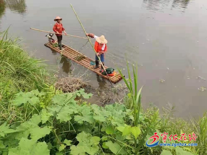 寧化縣翠江鎮:人大代表“巡河問水” 守護碧水清流
