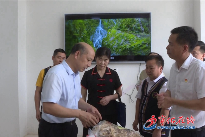 省領導來寧化調研
