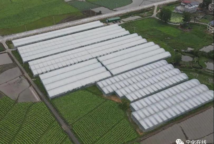 《沿著高速看中國》——“莆炎高速”直播特別節(jié)目在寧化引起熱烈反響