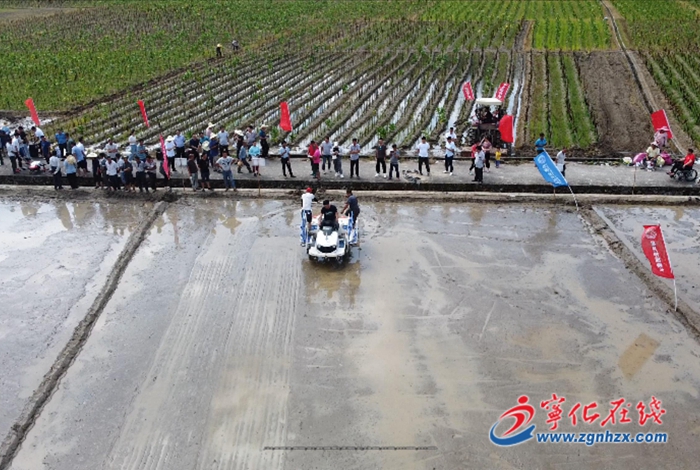 寧化：推廣水稻機(jī)械精量直播新技術(shù)