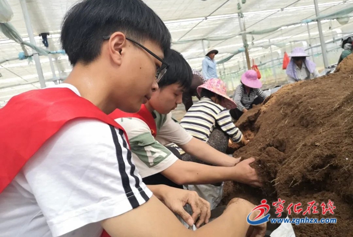 福建師范大學在寧開展“三下鄉”活動