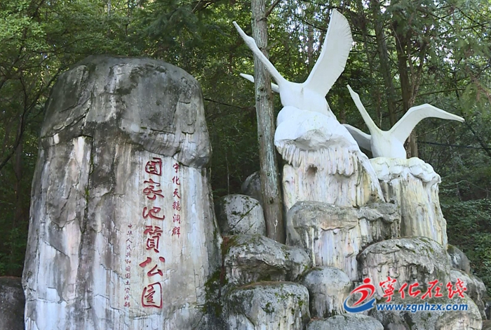 【牢記囑托再出發 攻堅克難促發展——寧化這五年】立足生態優勢  打造康養福地