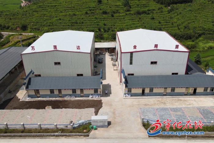 石壁鎮溪背畬族村：大力招商引資  促進鄉村振興