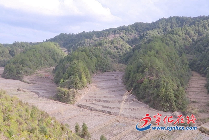 寧化曹坊：荒地復(fù)耕 “沉睡”土地變良田