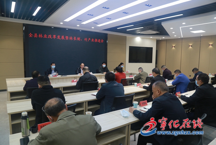 寧化召開全縣林業(yè)改革發(fā)展暨林長制、竹產(chǎn)業(yè)推進(jìn)會