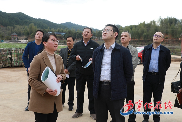 寧化縣領導開展紅色文旅項目工作督促調研