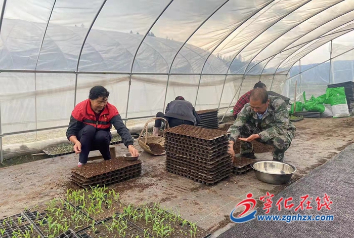 寧化安田生態農業：發展特色農業 助農致富增收