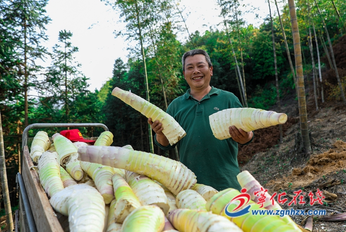 寧化安樂鎮(zhèn)：竹林里的致富“小火車”