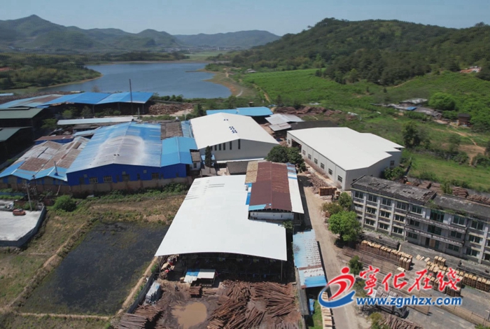 寧化縣湖村鎮：壯大木材產業，助力鄉村振興