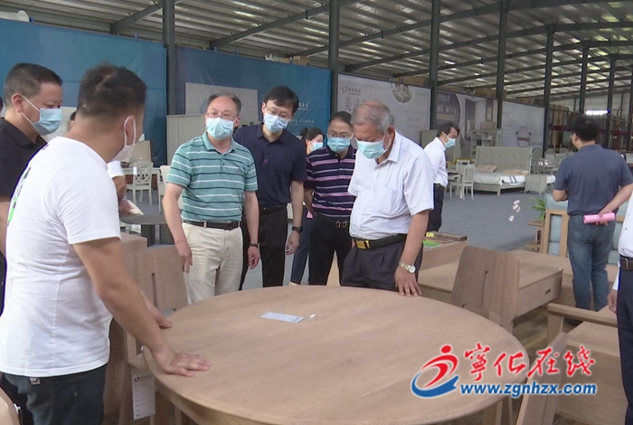 省人大常委會檢查組來寧化開展森林“一法一例”執法檢查