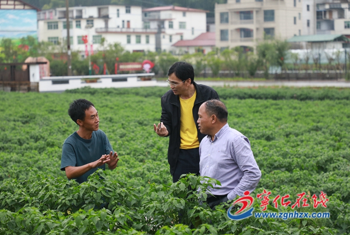 守護舌尖安全 讓“寧字號”農產品更安全優質