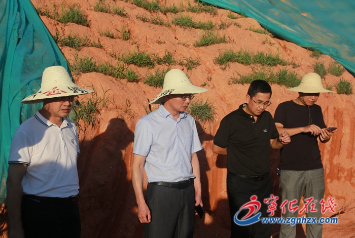 縣領導開展肖家斷面水質提升調研