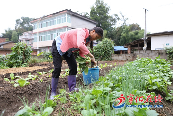 葉香：用愛和責任撐起一個家