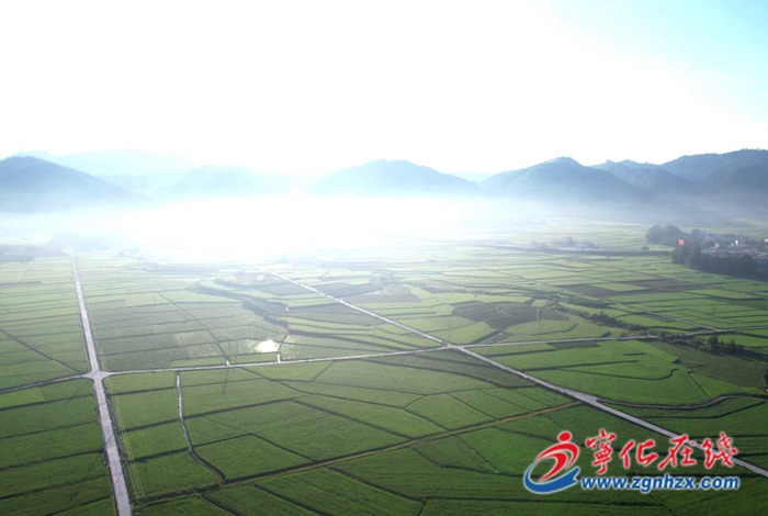 寧化：高標準農田建設讓糧田變“良田”