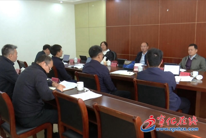 寧化縣政府黨組主題教育典型案例剖析會暨調研成果交流會召開