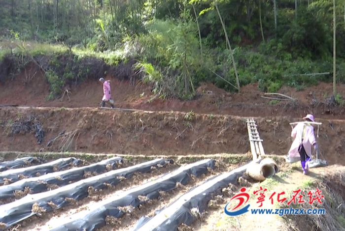 寧化：今年將建設(shè)高標(biāo)準(zhǔn)農(nóng)田3.75萬畝