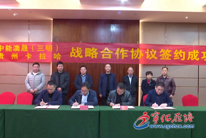 深學(xué)爭優(yōu) 敢為爭先 實干爭效|寧化農(nóng)企與貴州企業(yè)攜手做強羊產(chǎn)業(yè)鏈