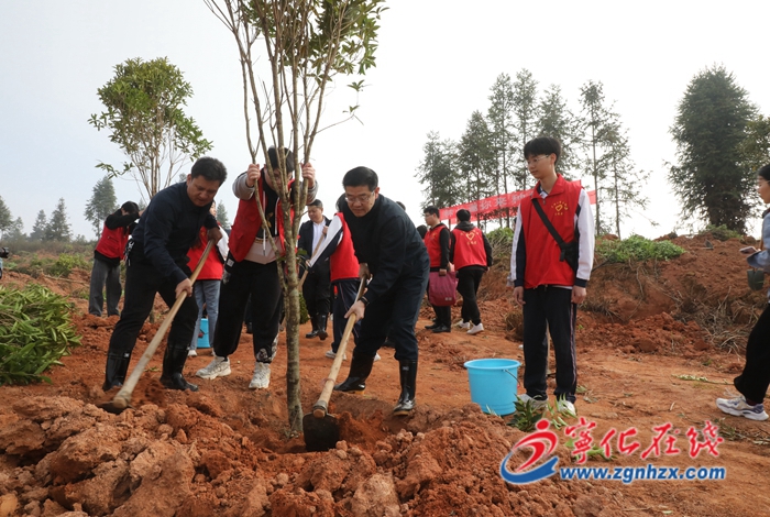 寧化縣領導參加義務植樹活動
