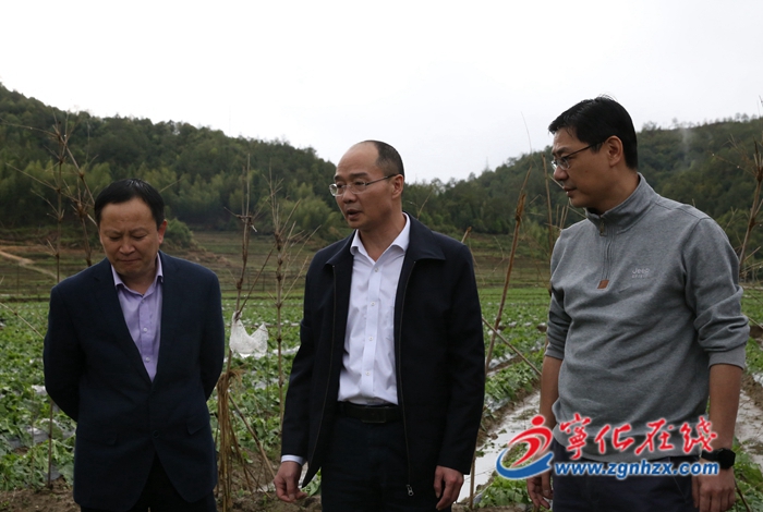 縣領導調研冰雹襲擊鄉鎮受災情況