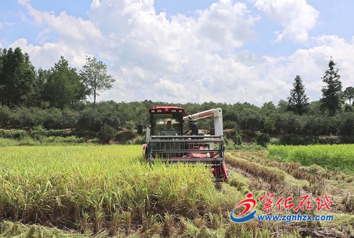 寧化水茜鎮(zhèn):高標(biāo)準(zhǔn)農(nóng)田助豐收
