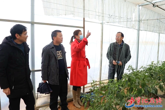 市農業農村局來寧開展農產品質量安全監督抽查