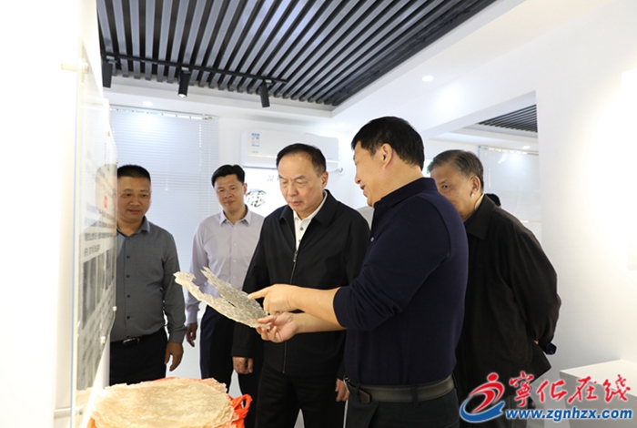 福建省鄉村振興促進會領導到寧化調研