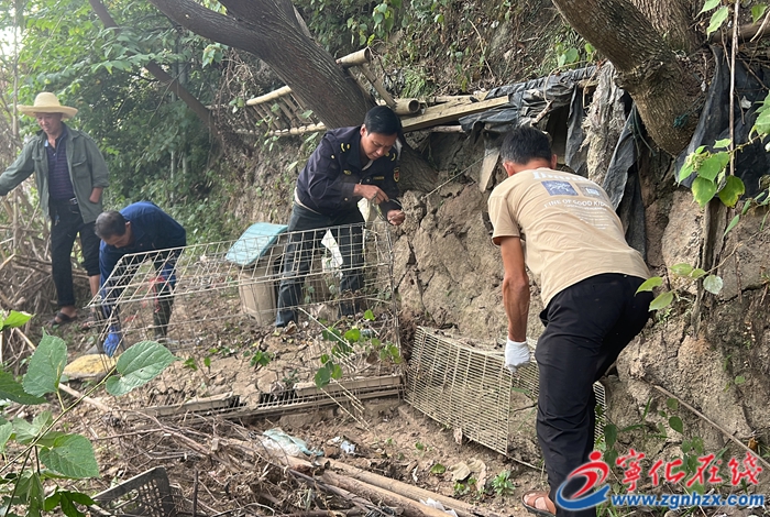 水茜鎮開展河湖“清四亂”行動