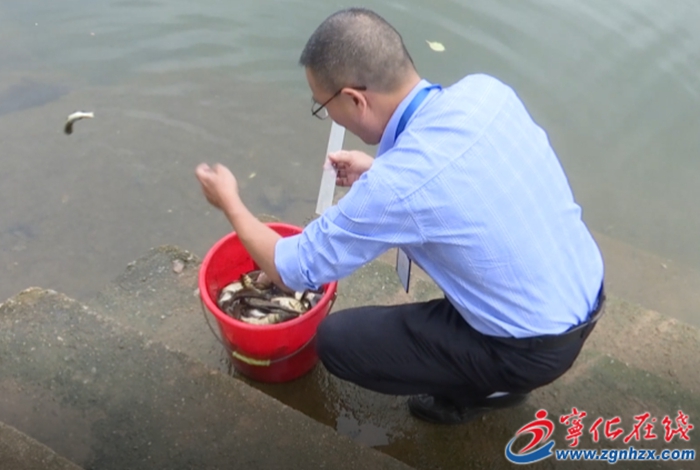 寧化:開展增殖放流活動(dòng) 保護(hù)生態(tài)環(huán)境
