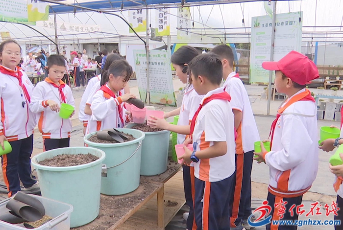 寧化安樂(lè)鎮(zhèn):發(fā)展研學(xué)旅游 賦能鄉(xiāng)村振興