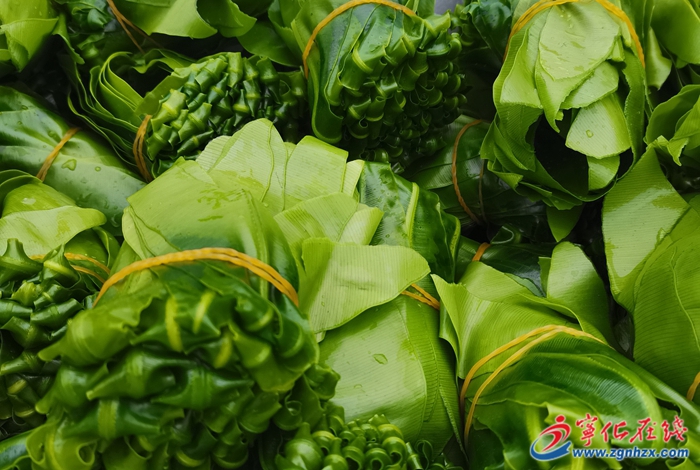 四領一促丨淮土鎮:多點開花致力產業領跑,黨建“引擎”賦能鄉村振興