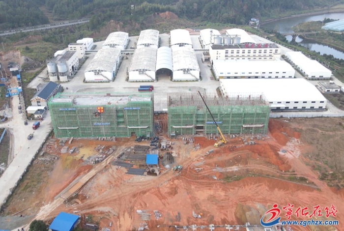 提振精氣神,建功新福建丨寧化:加快建設薏米·河龍貢米精深加工項目