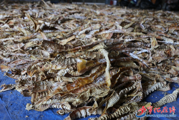 點竹成金，寧化這個鄉鎮用“一根竹子”撬動“綠色經濟”大產業