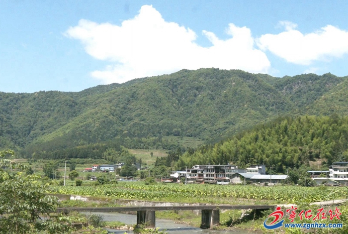 牢記囑托 踐行大食物觀|濟村鄉：閩臺農業融合發展 田間“豐”景美好