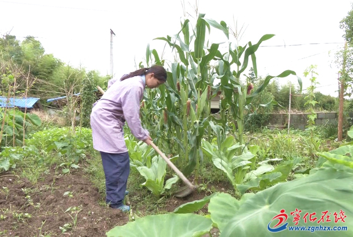 第六屆三明市道德模范丨葉香:用愛(ài)和責(zé)任撐起一個(gè)家