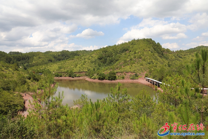 青山綠水是無價之寶 | 寧化：紅土地上披綠裝